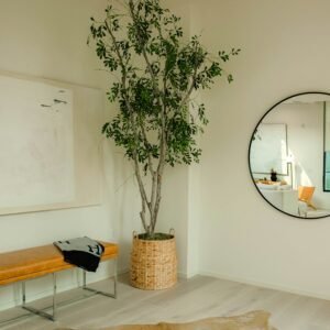 Oval Walnut Wall Mirror