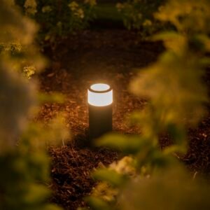 Solar Spike Garden Light