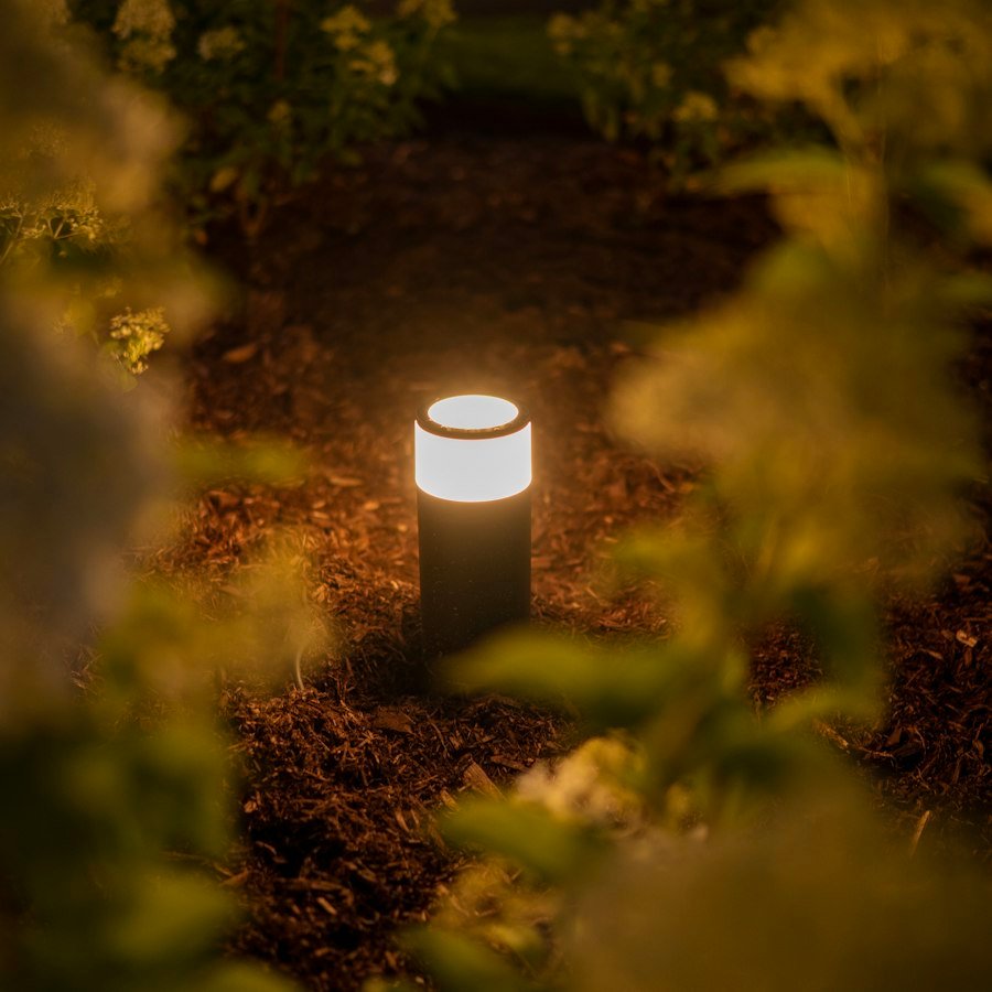 Solar Spike Garden Light